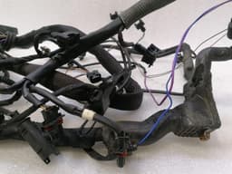 MERCEDES-BENZ Mercedes S55 AMG W220 Engine Wiring Loom A1131500733 Engine Harness M113 V8 AMG — thumbnail 6