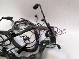 MERCEDES-BENZ Mercedes S55 AMG W220 Engine Wiring Loom A1131500733 Engine Harness M113 V8 AMG — thumbnail 3