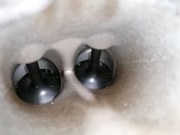 MERCEDES-BENZ MERCEDES E55 AMG W211 RIGHT CYLINDER HEAD A1130105620 CYLINDER HEAD RIGHT M113 — thumbnail 2
