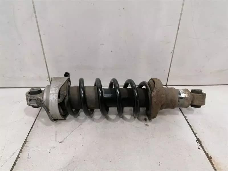 AUDI Audi R8 Type 42 V10 5.2 shock absorber rear 420512019AF shock absorber rear