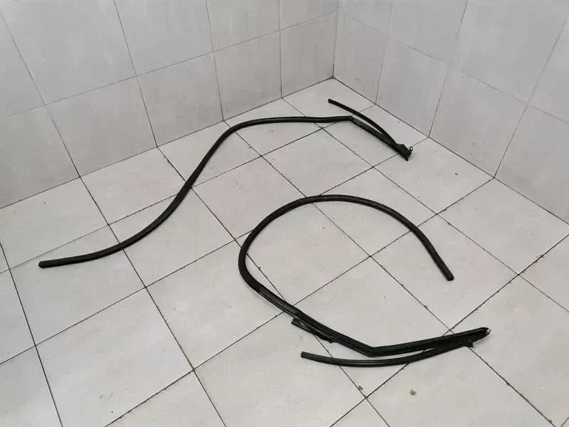 AUDI Audi R8 Type 42 V10 5.2 Spyder door seal set 427831707 door seals set