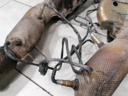 AUDI AUDI R8 TYPE 42 V10 5.2 SPYDER Catalytic Converter 420251211CX Catalytic Converter BUJ — thumbnail 3