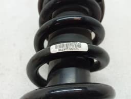 LAMBORGHINI Lamborghini Huracan LP640 EVO shock absorber rear 4T7512019D shock absorber rear — thumbnail 5