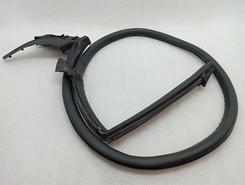 LAMBORGHINI Lamborghini Huracan LP640 EVO SPYDER Door Seal 4T7831708B RIGHT Door Seals