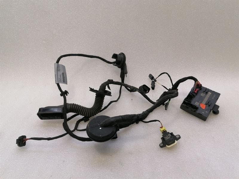 LAMBORGHINI Lamborghini Huracan LP 610-4 COUPE Wiring Loom 4T2971029 RH RHD Wiring Harness DOOR