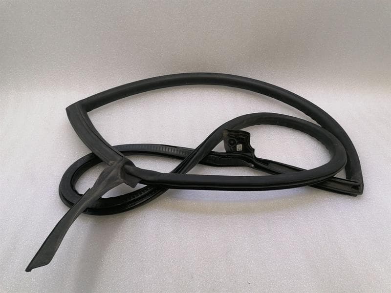 LAMBORGHINI Lamborghini Huracan LP 610-4 COUPE Door Seal 4T8831708D RIGHT Door Seals