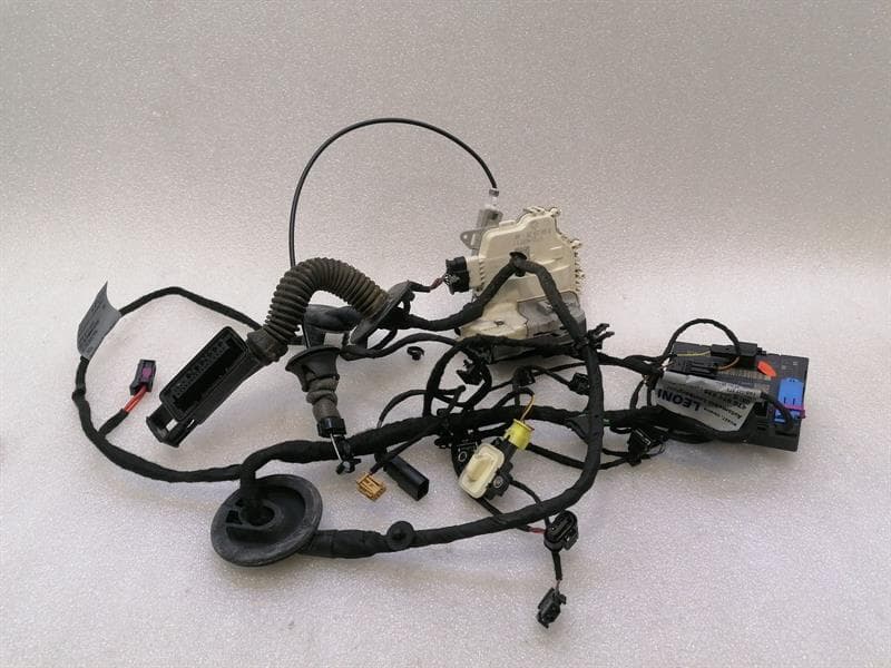 LAMBORGHINI Lamborghini Huracan LP 610-4 COUPE Wiring Loom 4T0971036 LEFT Wiring Harness DOOR