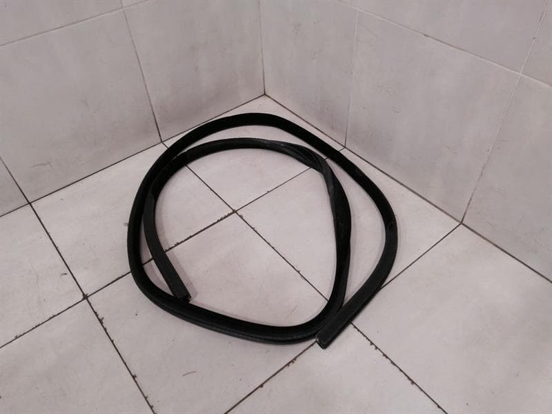 LAND ROVER Land Rover Range Rover Sport L494 Front Left Door Seal LR043853 Door Seals