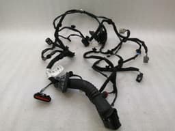 FORD Ford Mustang MK5 S550 SHELF GT350 Wiring Loom FR3T-14631-AJ Harness LEFT DOOR — thumbnail 1