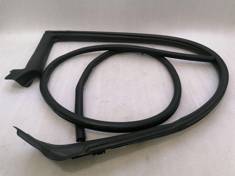 LEXUS Lexus RC F TRACK XC10 RIGHT Door Seal 67861-24060 Door Seals RIGHT