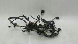 BMW BMW 5 Series F07 GT Front Right Door Wiring 9210120 Door Wiring Harness Front Right — thumbnail 1