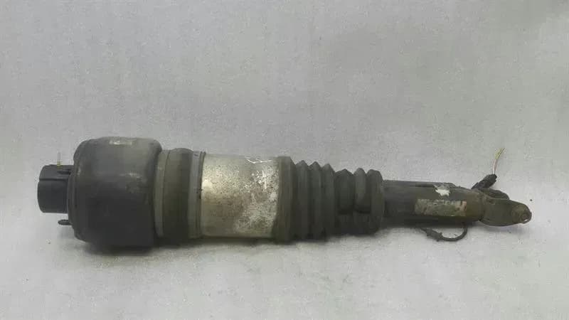 MERCEDES-BENZ Mercedes CLS W219 absorber front A2193201213 shock absorber front airmatic right