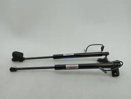 CHEVROLET Chevrolet Corvette C6 Z06 LS7 Boat Lid Strut 10380000 Gas Pressure Spring Tailgate — thumbnail 1