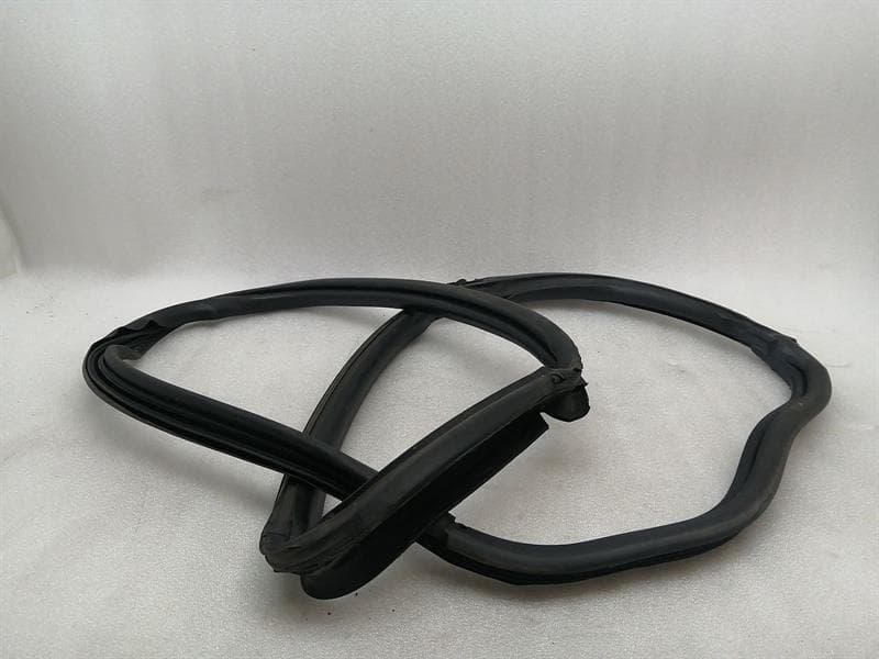 DODGE Dodge Viper SRT-10 8.3 Right Door Seal 5030096AB Right Door Seals