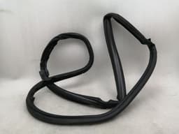 DODGE DODGE VIPER SRT-10 8.3 Left Door Seal 5030097AB Door Seals Left — thumbnail 4