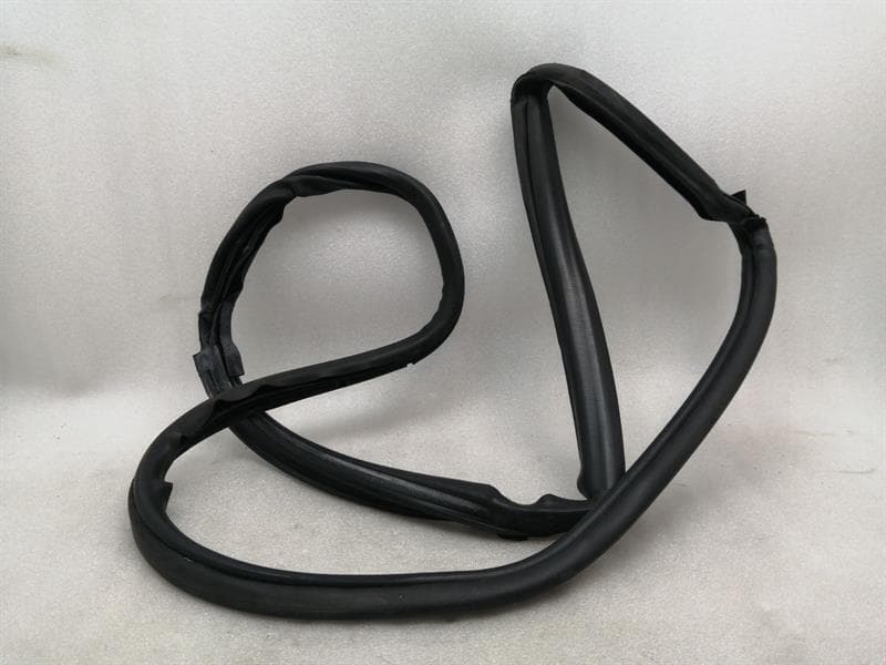 DODGE DODGE VIPER SRT-10 8.3 Left Door Seal 5030097AB Door Seals Left