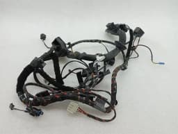 ROLLS ROYCE Rolls Royce Phantom MK7 VII 7 Wiring Loom 0022418 RR DOOR Wiring Harness — thumbnail 1