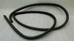 DODGE DODGE CHARGER LX LD Front Door Seal 1KW33DX9AH Door Seals — thumbnail 1