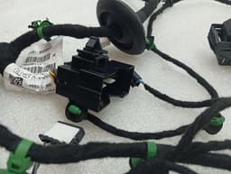 FERRARI Ferrari Purosangue F175 Wiring Loom 845641 FL DOOR Wiring Harness — thumbnail 9