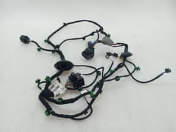 FERRARI Ferrari Purosangue F175 Wiring Loom 845641 FL DOOR Wiring Harness — thumbnail 1