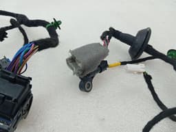 FERRARI Ferrari Purosangue F175 Wiring Loom 845641 FL DOOR Wiring Harness — thumbnail 6