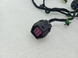 FERRARI Ferrari Purosangue F175 Wiring Loom 845641 FL DOOR Wiring Harness — thumbnail 5