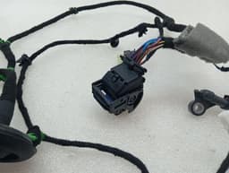 FERRARI Ferrari Purosangue F175 Wiring Loom 845641 FL DOOR Wiring Harness — thumbnail 8