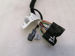 FERRARI Ferrari Purosangue F175 Wiring Loom 847923 RL DOOR Wiring Harness — thumbnail 7