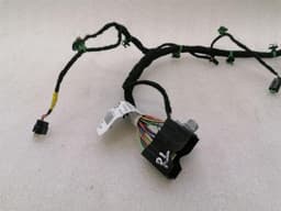 FERRARI Ferrari Purosangue F175 Wiring Loom 847923 RL DOOR Wiring Harness — thumbnail 4