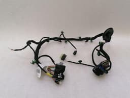 FERRARI Ferrari Purosangue F175 Wiring Loom 847923 RL DOOR Wiring Harness — thumbnail 8