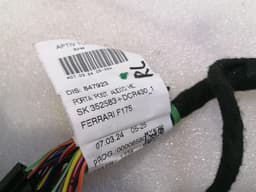 FERRARI Ferrari Purosangue F175 Wiring Loom 847923 RL DOOR Wiring Harness — thumbnail 5