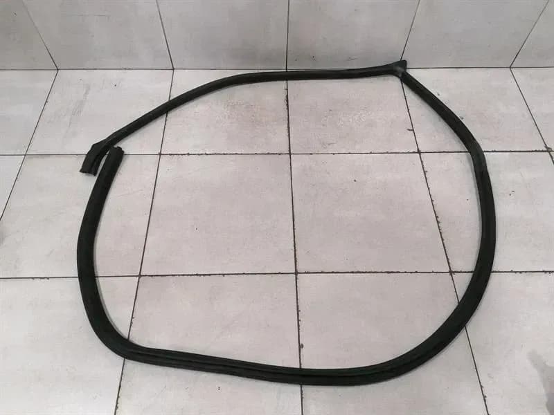 FERRARI Ferrari Purosangue F175 door seal 880282 door seals front left front left