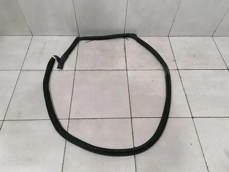 FERRARI Ferrari Purosangue F175 door seal 880254 door seals RH rear door rear door
