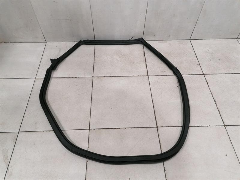 FERRARI Ferrari Purosangue F175 door seal 880110 door seals LH rear door rear left