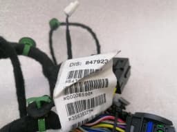FERRARI Ferrari Purosangue F175 Wiring Loom 847923 RR DOOR Wiring Harness — thumbnail 6
