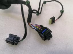FERRARI Ferrari Purosangue F175 Wiring Loom 847923 RR DOOR Wiring Harness — thumbnail 3