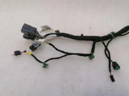 FERRARI Ferrari Purosangue F175 Wiring Loom 847923 RR DOOR Wiring Harness — thumbnail 8