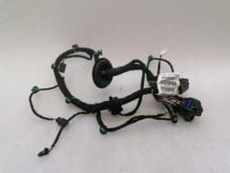 FERRARI Ferrari Purosangue F175 Wiring Loom 847923 RR DOOR Wiring Harness — thumbnail 5