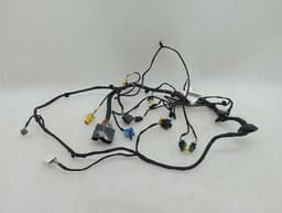 FERRARI Ferrari 812 Superfast F152M Wiring Loom 879428 RH DOOR Wiring Harness — thumbnail 1