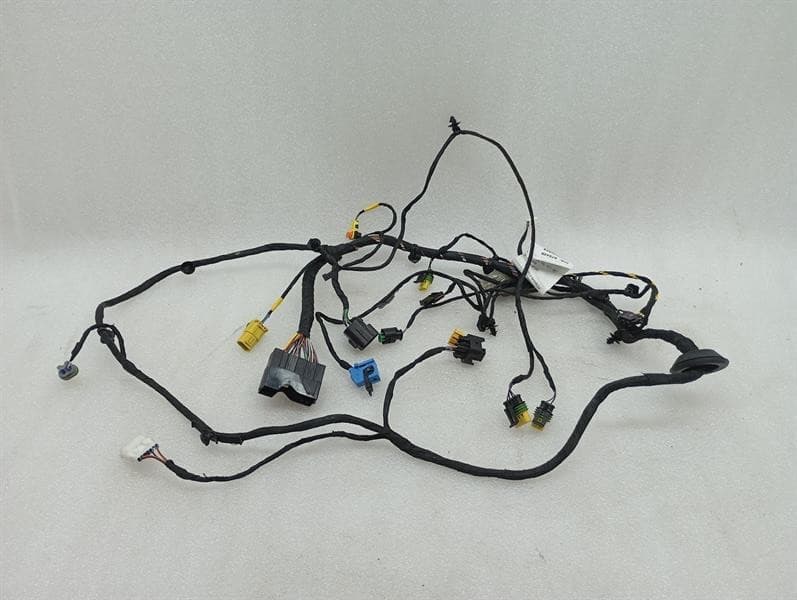 FERRARI Ferrari 812 Superfast F152M Wiring Loom 879428 RH DOOR Wiring Harness