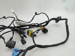 FERRARI Ferrari 812 Superfast F152M Wiring Loom 879428 RH DOOR Wiring Harness — thumbnail 6