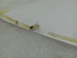 FERRARI FERRARI 812 SUPERFAST F152M 88157900 RH DOOR WATERPROOF MEMBRANE — thumbnail 4