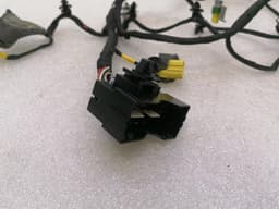 FERRARI Ferrari 812 Superfast F152M Wiring Loom 879430 LH DOOR Wiring Harness — thumbnail 7
