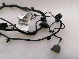 FERRARI Ferrari 812 Superfast F152M Wiring Loom 879430 LH DOOR Wiring Harness — thumbnail 4