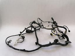 FERRARI Ferrari F12 Berlinetta F152 Left Door Wiring Loom 282870 Door Harness Left — thumbnail 6