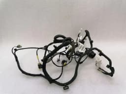 FERRARI Ferrari F12 Berlinetta F152 Right Door Wiring Loom 282872 Door Harness Right — thumbnail 1