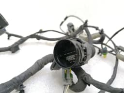 FERRARI Ferrari F12 Berlinetta F152 Right Door Wiring Loom 282872 Door Harness Right — thumbnail 10