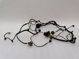 FERRARI Ferrari F12 Berlinetta F152 Wiring Loom 343061 Wiring Harness RH door hi fi music LHD — thumbnail 1