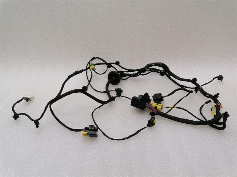 FERRARI Ferrari F12 Berlinetta F152 Wiring Loom 343061 Wiring Harness RH door hi fi music LHD