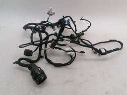 FERRARI Ferrari FF F151 Wiring Loom RIGHT DOOR 283749 Wiring Harness RIGHT DOOR — thumbnail 8